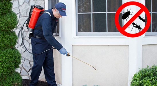 Sumbas Karınca İlaçlama böcek ilaçlama ve haşere kontrolü — ilaclama-tr.com